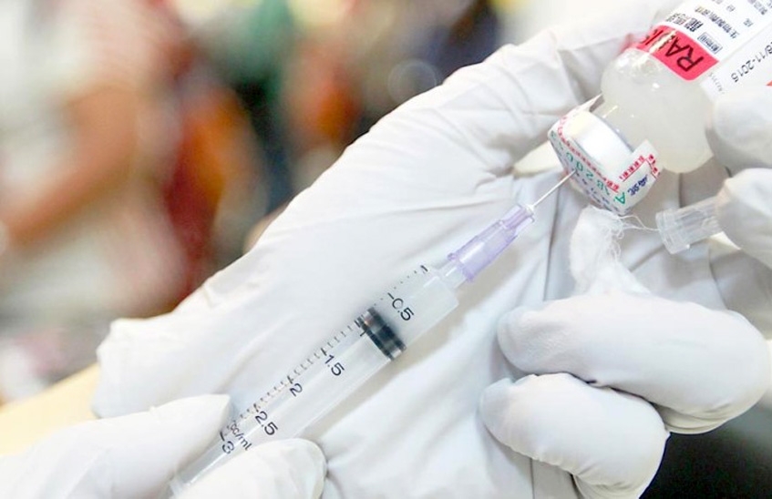 Саровчане пренебрегают прививками от бешенства, обращаясь в КБ № 50 после укусов безнадзорных животных