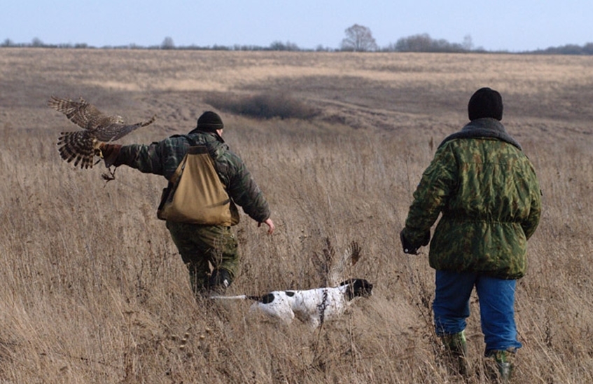 С 16 ноября в регионе ограничена охота на пернатую дичь